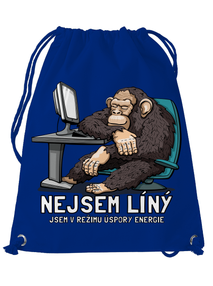Nejsem líný