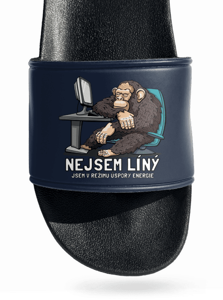 Nejsem líný