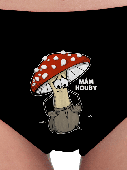 Mám houby
