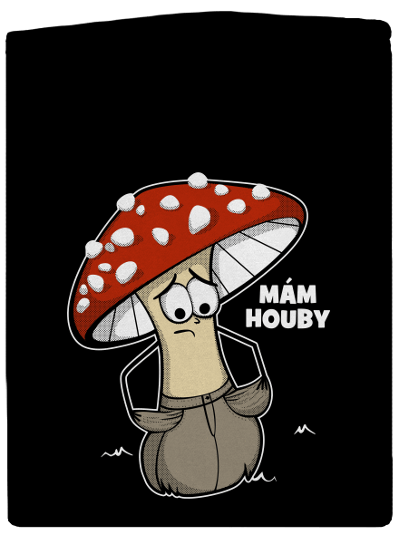 Mám houby