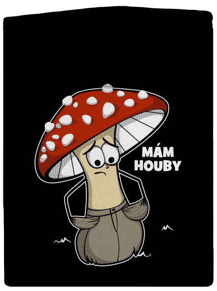 Mám houby