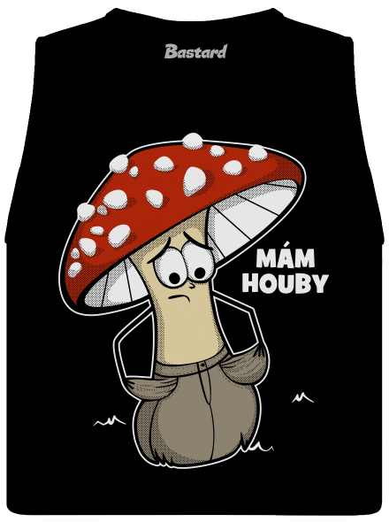 Mám houby