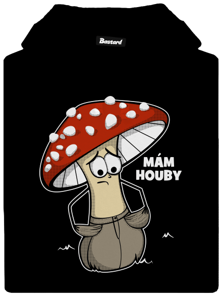 Mám houby