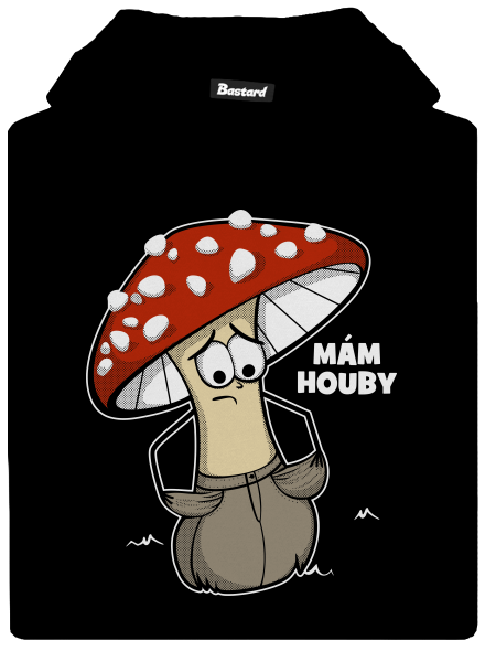 Mám houby