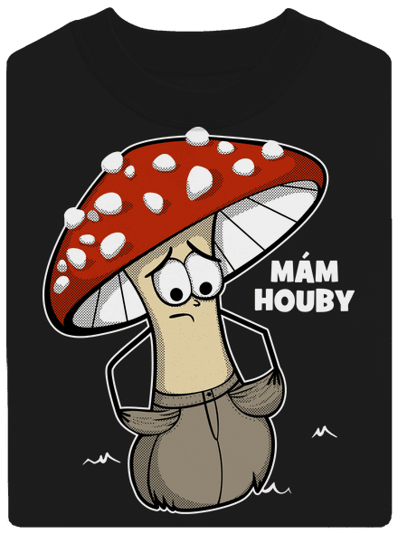Mám houby