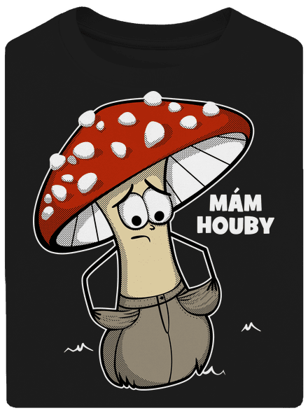 Mám houby