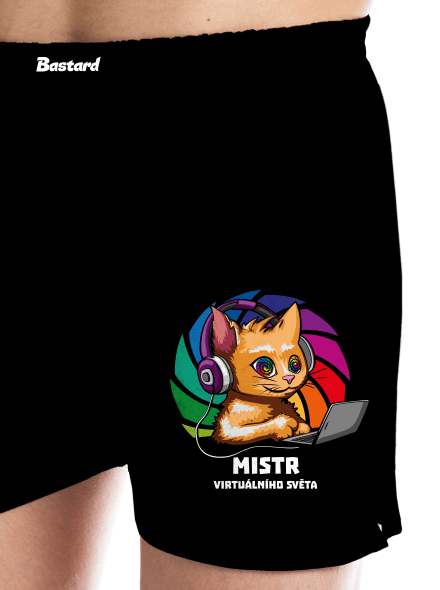 Mistr virtuálního světa