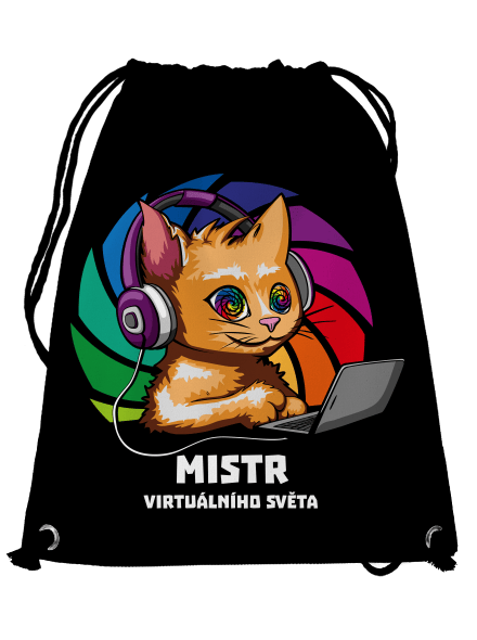 Mistr virtuálního světa