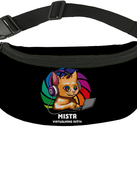 Mistr virtuálního světa
