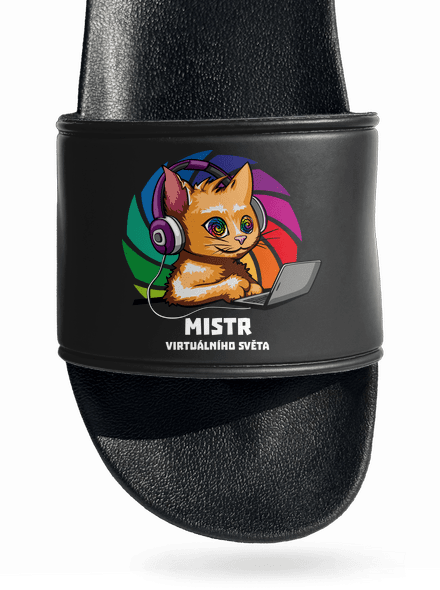 Mistr virtuálního světa