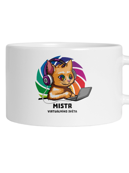 Mistr virtuálního světa