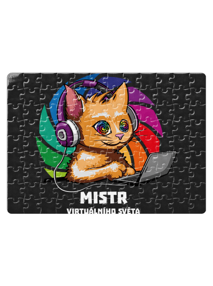 Mistr virtuálního světa