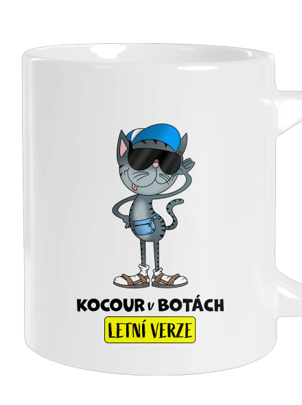 Kocour v botách