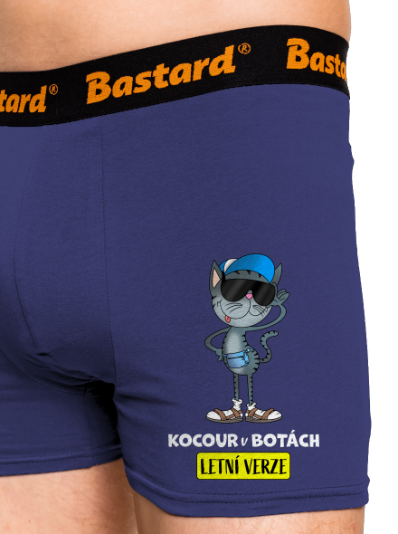 Kocour v botách