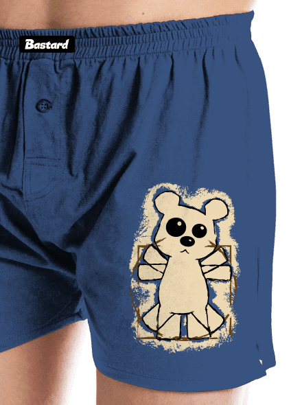 Da Vinci Teddy