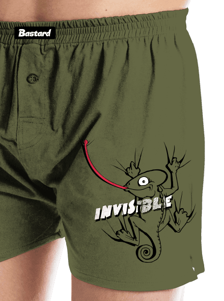 Invisible chameleon