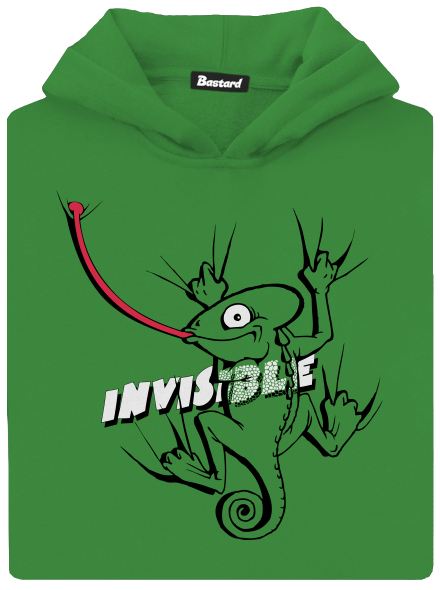 Invisible chameleon