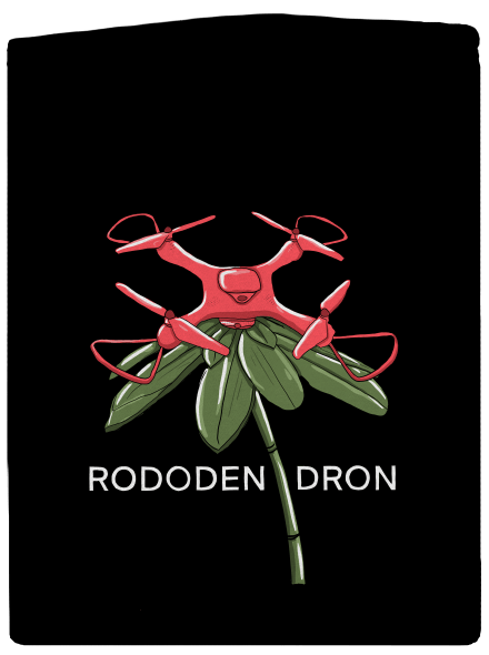 Rododendron