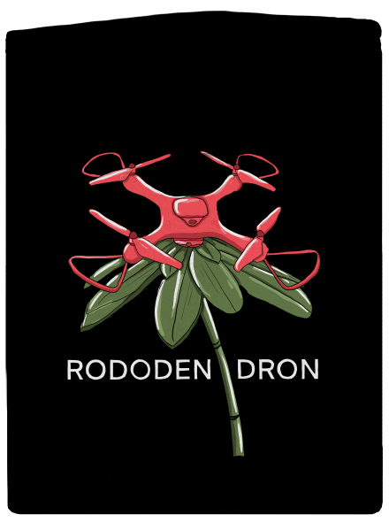 Rododendron
