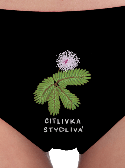 Řasokoule a Citlivka
