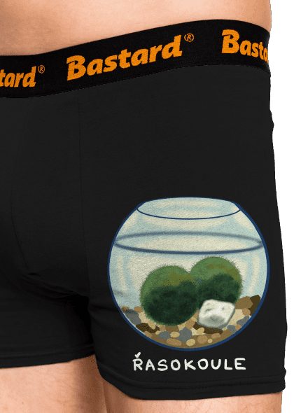 Řasokoule a Citlivka