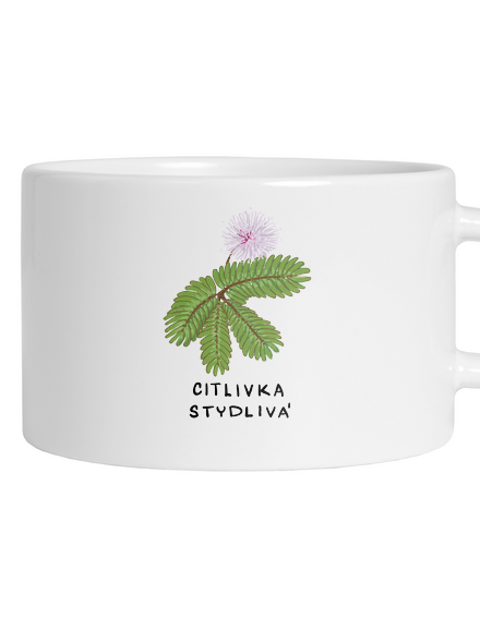 Řasokoule a Citlivka