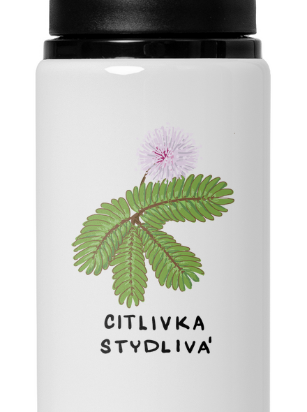 Řasokoule a Citlivka