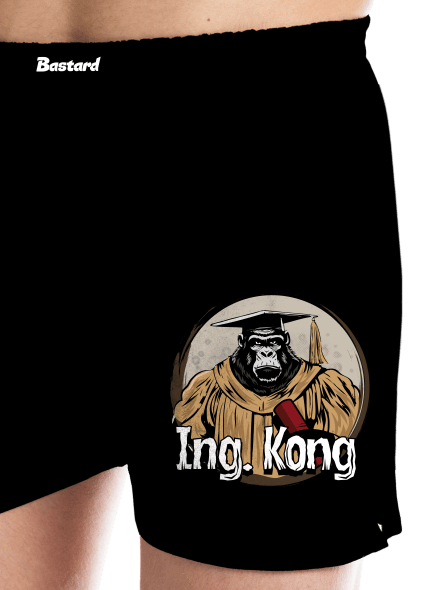 Ing. Kong