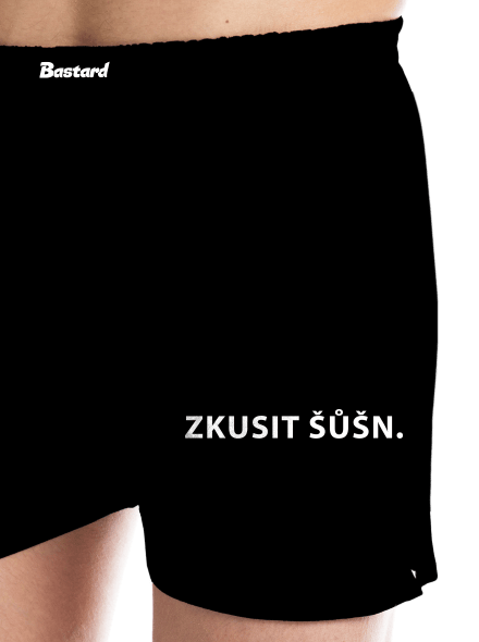 Zkusit šůšn
