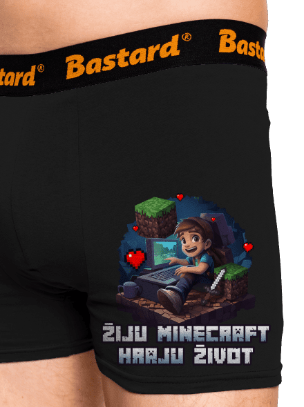 Žiju Minecraft