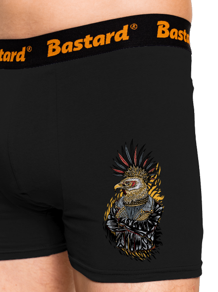 Punk Eagle