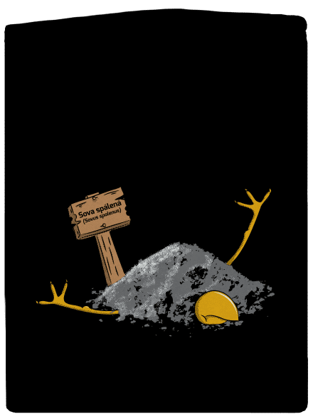 Sova spálená