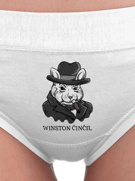 Winston Činčil