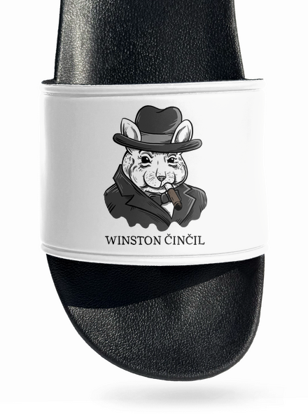Winston Činčil