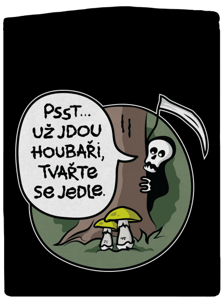 Muchomůrky zelené