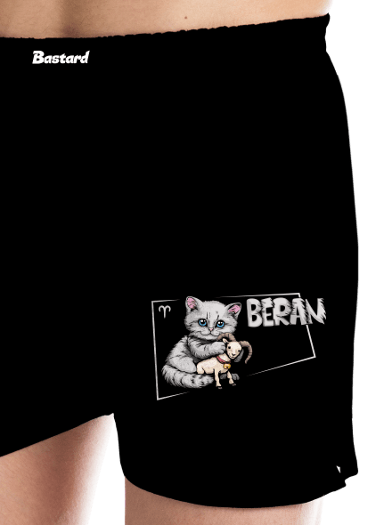 Kočičí horoskop: Beran