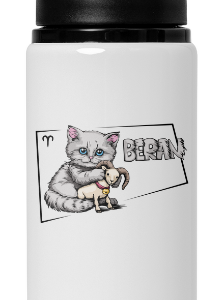 Kočičí horoskop: Beran