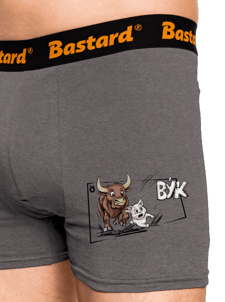 Kočičí horoskop: Býk