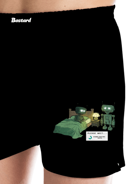 Robotí romantika