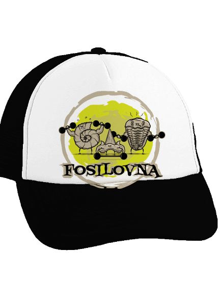 Fosilovna kšiltovka  Black cap