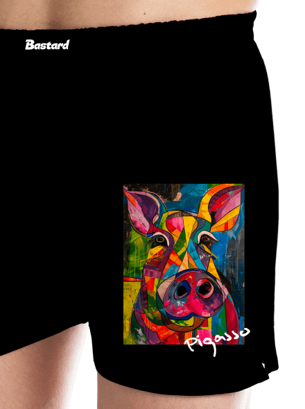 Pigasso