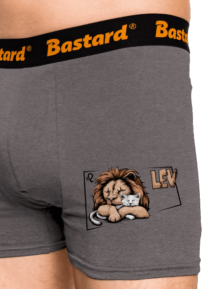 Kočičí horoskop: Lev 