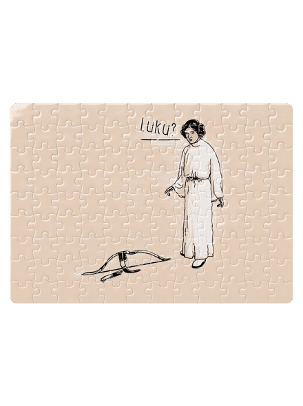 Luke a Leia