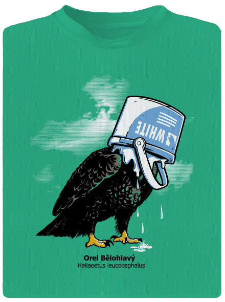 Orel bělohlavý