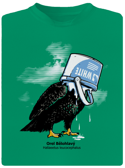 Orel bělohlavý