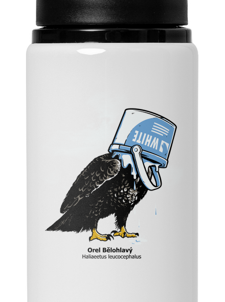 Orel bělohlavý