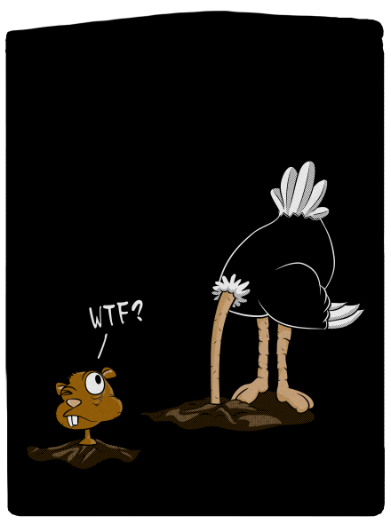 Pštrosí překvápko