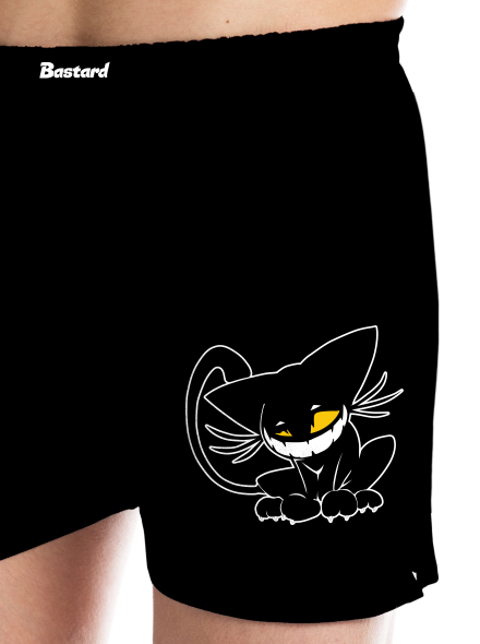 Evil cat