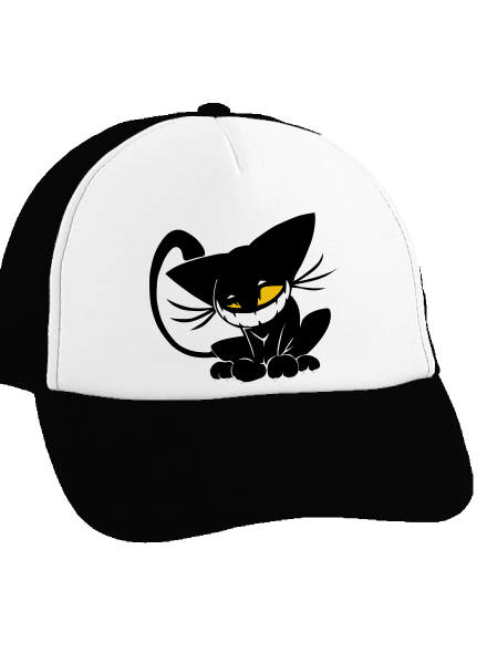 Evil cat