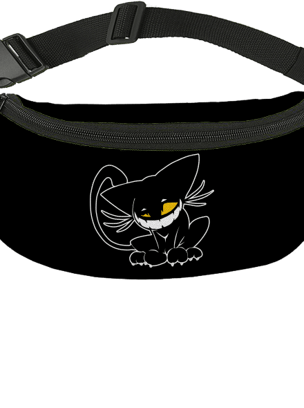 Evil cat